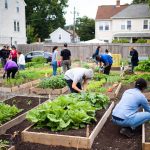 Community Gardens and Urban Agriculture as Food Resources
